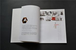 广告设计 超越视觉的艺术与策略